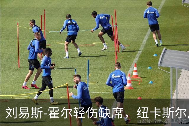 刘易斯-霍尔轻伤缺席，纽卡斯尔后卫人手紧缺