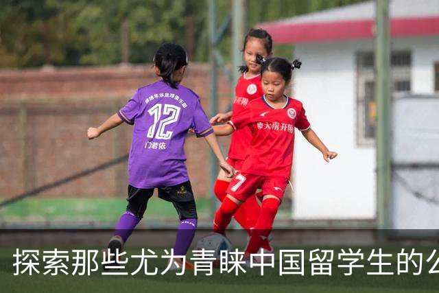 探索那些尤为青睐中国留学生的公司